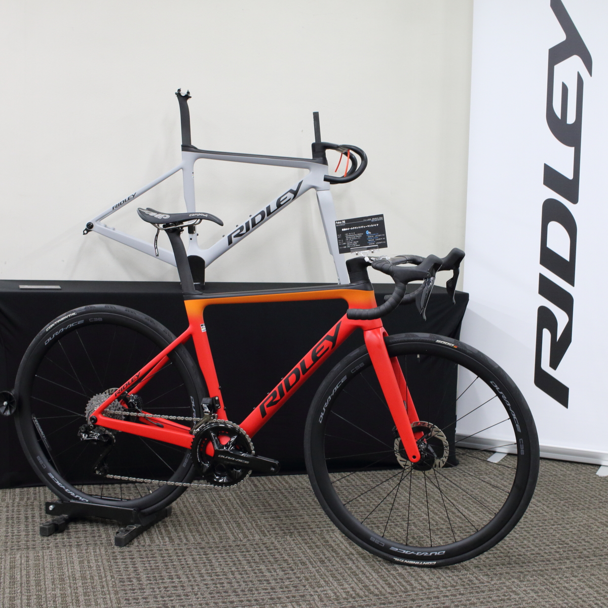 RIDLEY 2025年モデル、受注開始しました！ - ノースバイシクル北海道